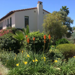 Landscape architecture in Santa Barbara by Plant Joy