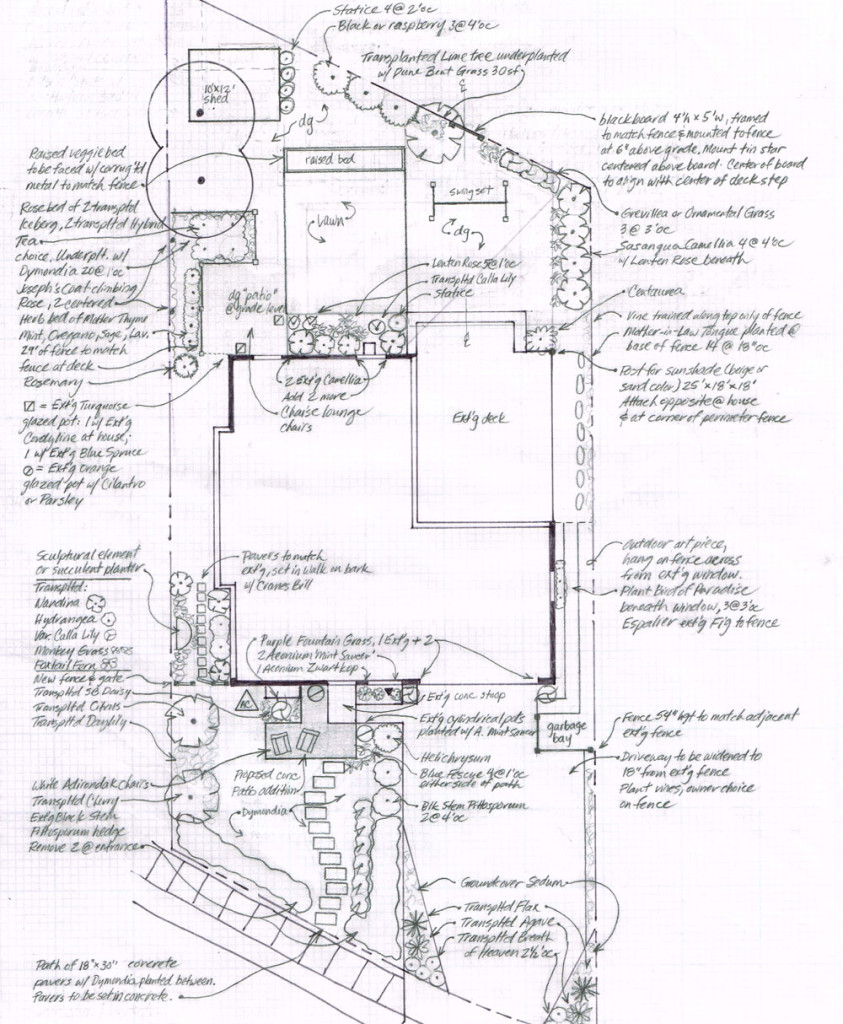 Drafted plan by Santa Barbara educated gardener and plant savvy landscape architect Katherine Farhadian